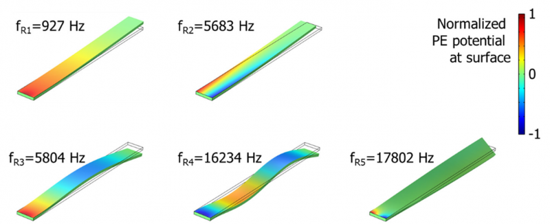 Simulation of cantilever sensors